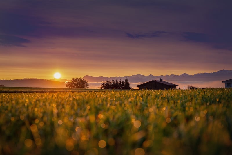 Remote Cabin